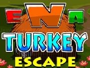 Play ENA Turkey Escape