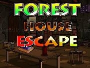 Play Ena forest House Escape