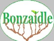 Play Bonzaidle