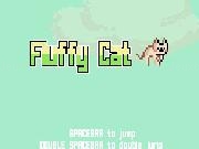 Play Fluffy Cat