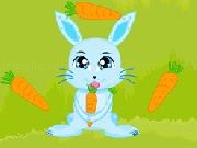Play Bunny Crazy Time