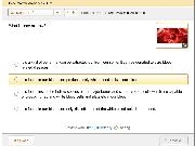 Play Bone Marrow Awareness Quiz!
