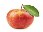 Play The Apple Game: First 4