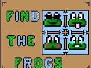 Play Find The Frogs