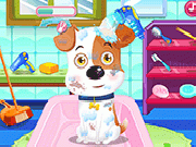 Play Pet Dog Care