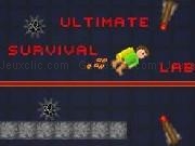 Play Ultimate Survival Lab