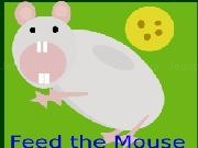 Play Feed the Mouse