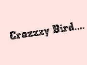 Play Crazy Bird
