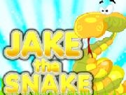 Play JakeTheSnake