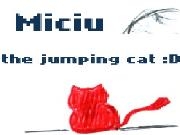 Play Miciu the jumping cat!