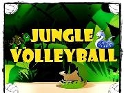 Play Jungle Volleyball 2Player