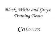 Play Black, White and Greys: Training Demo