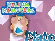 Play Helium Hamsters Plato Web