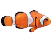 Play A Small Fish In A Big Sea