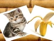 Play KG : What do they eat?