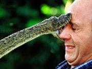 Play Rainbow Snake
