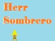 Play Herr Sombrero