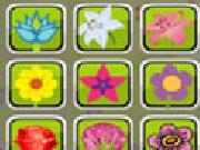 Play Flower Identical
