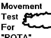 Play Movement Test