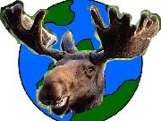 Play Moose: Destroyer of Worlds