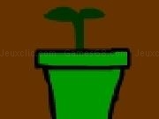 Play The Beanstalk Game