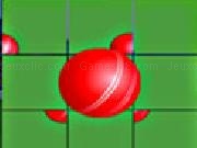 Play Animation Puzzle-Cricket