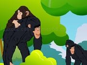 Jugar a Chimpanzee Jigsaw