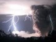 Play attack of the muntant birds