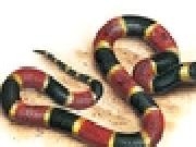 Play Ultimate Snake
