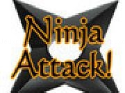 Play Ninja Attack!