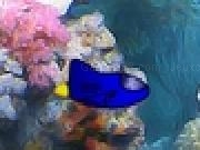 Play Flagship