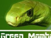 Play Green Mamba