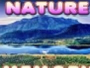 Play Brain Memory : Nature