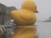 Play Shoot Ducks at Bieber