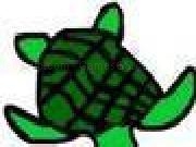 Play Find The Turtle &amp; Friends