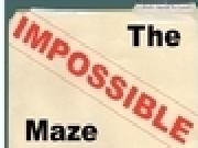Play The Impossible Maze