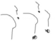 Play The Random Quiz