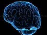 Play the smart test