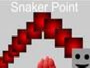 Play Snaker Point
