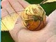 Play Harry Potter Quidditch Cup