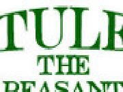 Play Tule the Peasant Defends His Home