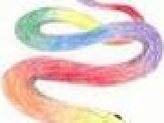 Play Rainbow Snake II