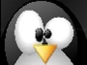 Play Linux System