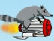 Play Crazy Raccoon