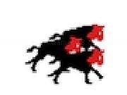 Play Bullfist