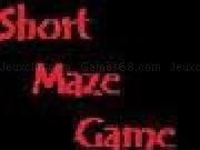 Jugar a Short Maze Game.