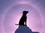 Play SunDog