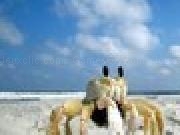 Play Broken Crab