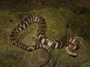 Play Northern Water Snake Jigsaw