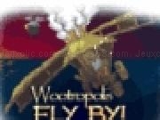 Play Wootropolis Flyby